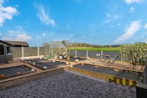 Vegetable garden- click for photo gallery